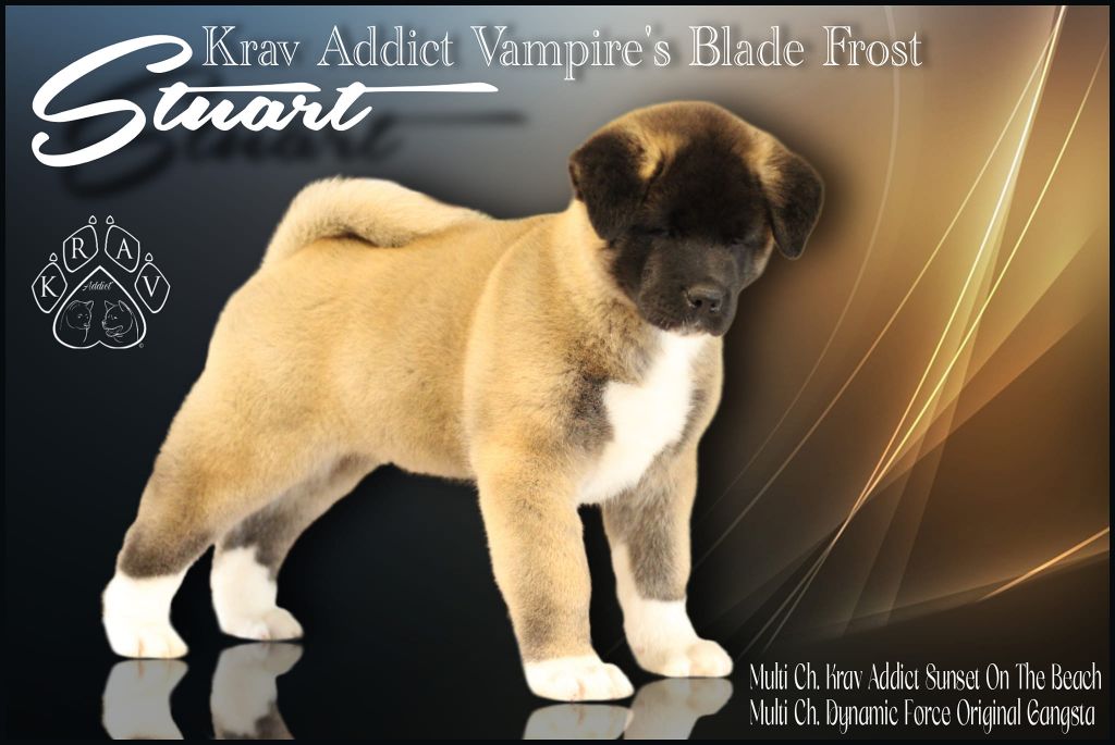 Krav Addict Vampire's blade frost