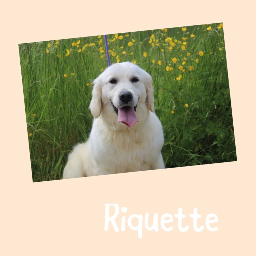 Riquette (Sans Affixe)