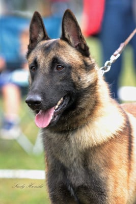 maski du van lappeenranta Undercut