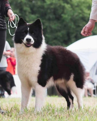 CH. Un-coup-de-coeur-inattendu de l'eden des shokou