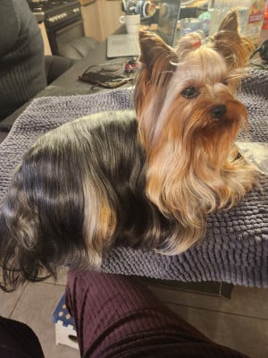 Ugo boss Teenangel