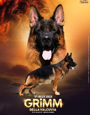 Grimm della  valcuvia