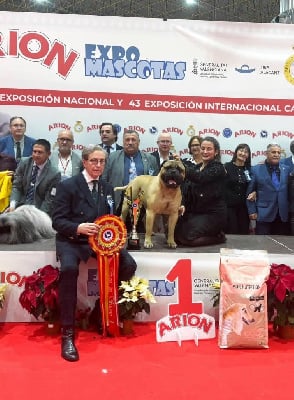 CH. Stardust De L'Arche Des Loups Anges