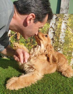 https://chiens-de-france.com/photo/chiens/2025_01/tn200/TN200_20260214121816699059f857518.jpg
