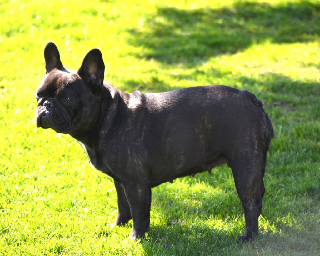 Umie Domaine de Floyd et Louna