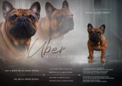 Uber de la Croix d'Atal