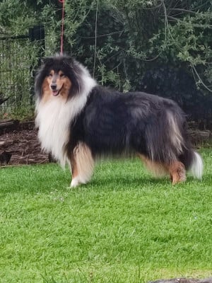 Twist again Du Clos De Seawind