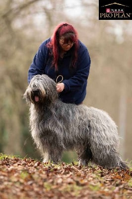 CH. Taran bleu De La Baie D'adonis