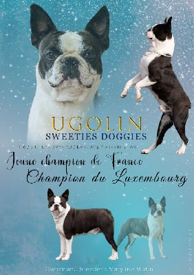 CH. Ugolin Sweeties Doggies