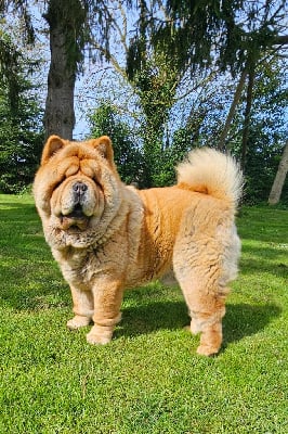 Vittori Le domaine de fabadel