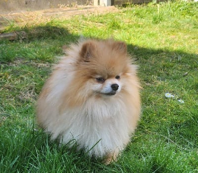 Aizens stand by me Jardin de la Petite Etoile