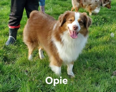 morningstars Nothin's worrin' me in margaritaville