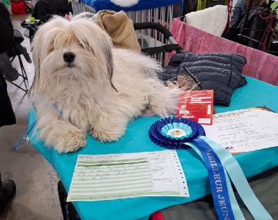 CH. Utwo Des Nich?es De Riopse