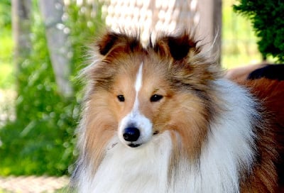 Urlorage illidan Des Berges De La Droude