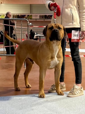 Veni vidi vici Los Nobles Del Norte