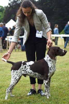 Ulvene du Clos la Bataille