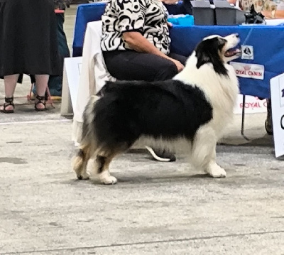 Texas ranger Of Black Pearl Spirit