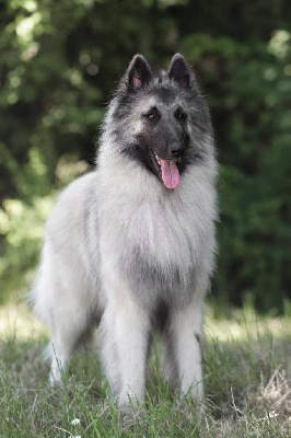 beljekali Thats all folks