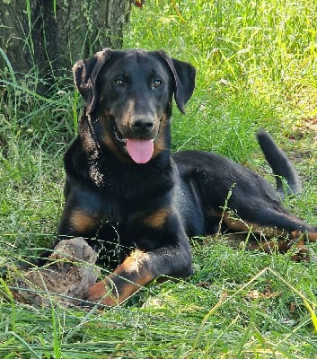 Victor hugo Les Pens?es Du Soleil