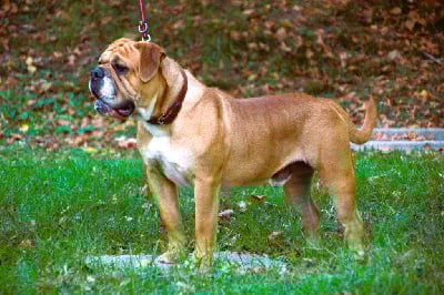 CH. Tenno Des sources sacrees