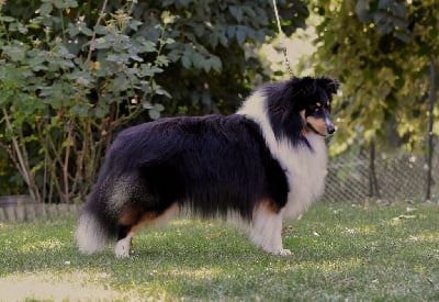 Velvet du Domaine du Carp?