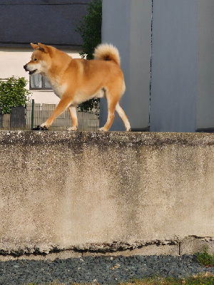 Trenton De La Source Des Rochettes