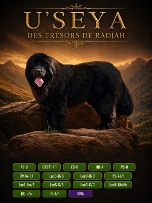 https://chiens-de-france.com/photo/chiens/2025_07/tn200/TN200_2026042323010269ea888eb83d2.png