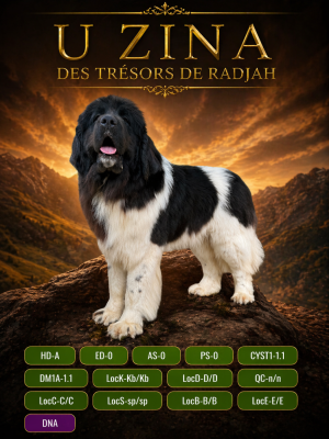 https://chiens-de-france.com/photo/chiens/2025_07/tn200/TN200_2026042323013869ea88b267ba6.png