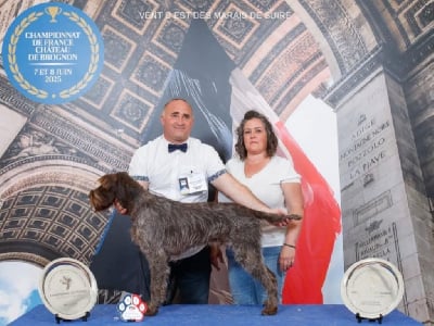 Vent d est des Marais de Suire