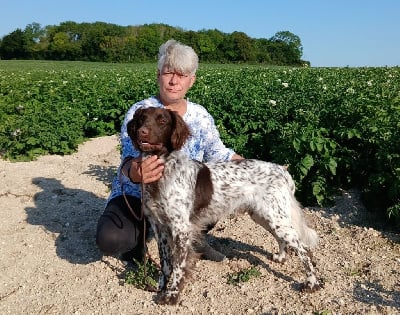 Udzo De La Vallée De La Py