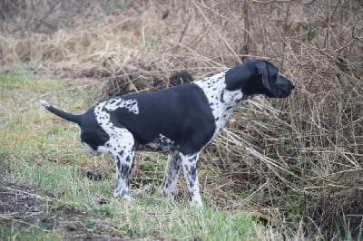 CH. Up and gone (Sans Affixe)