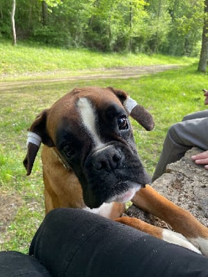 Urtao du Clos de L'Escaladieu