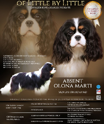 CH. Absent olona marti