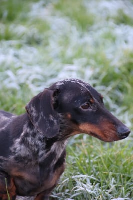 U2 de la Garenne en Hurepoix