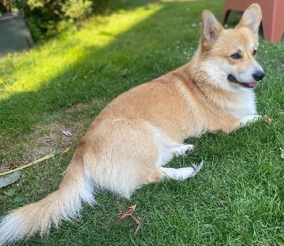 Ubert du temple des sources