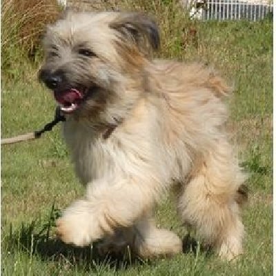 Ty-roch de L'Oustaou de Padel