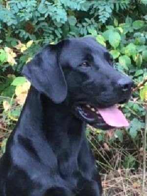 Ugo De La Source Du Bois Bouquet