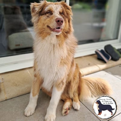 Vénom (Sans Affixe)