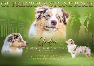 Under the stones De l'Univers d'Evine