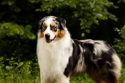 rockin mj Catching fire at keona