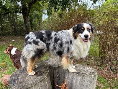 Unbearable lightness (joshua) De La Perle Du Morvan