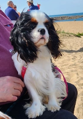 Vol de nuit De castel peyrac