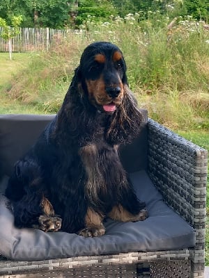 Under the thunder dit uggy des Charmes de Verzan