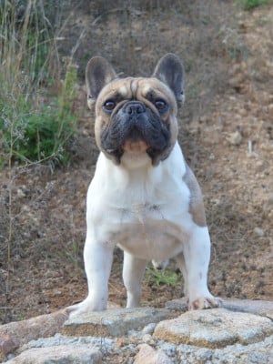 Urkan de la Vall?e des Mammouths