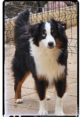 Very chic valentino Mini's Red Mountain