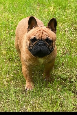 Utah The Kingdom Of The Little Red Kings