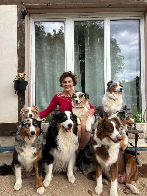 Saphir De L'amour De L'arche de Noëlle