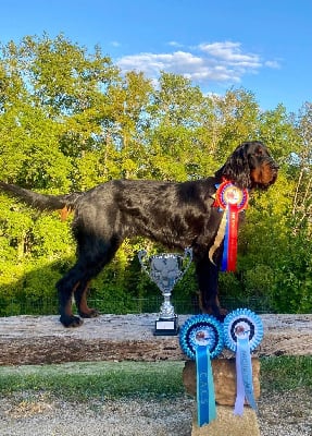 CH. Ultra-trail De La Grange De Ploumajou