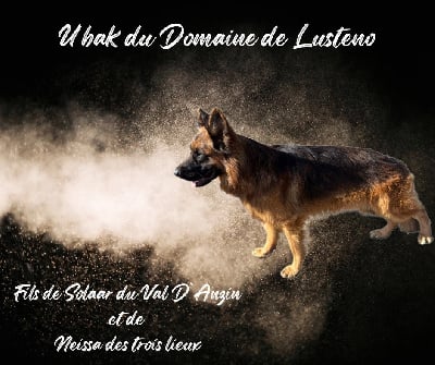 Ubak domaine de lusteno