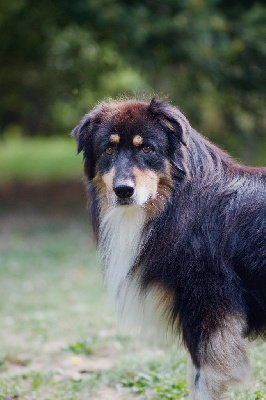 Thruman jack du Chemin de la Lune aux Reves